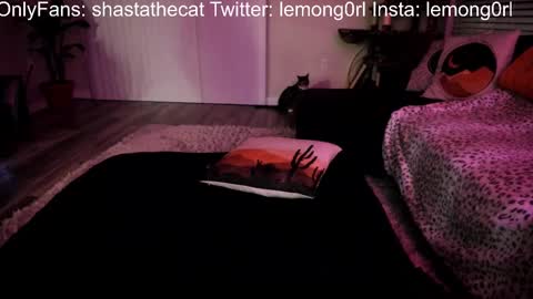 Snapshot of bbshasta chatting on February 27, 7:41 am Shasta online show from February 27, 7:41 am