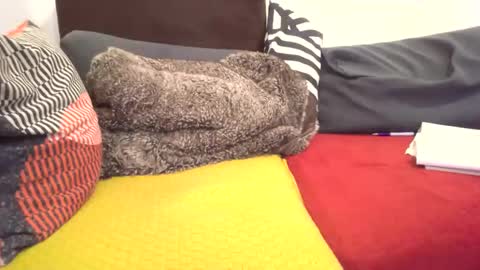 bbxx_2 online show from February 20, 5:20 pm