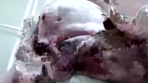 bcmcmd online show from December 4, 2:55 am