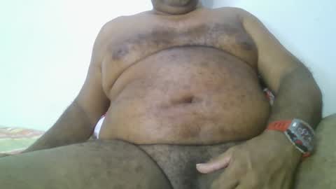 Grizzly   online show from January 28, 8:25 am