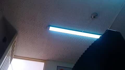 Snapshot of bella_lady_1_ chatting on December 31, 1:41 pm lady online show from December 31, 1:41 pm