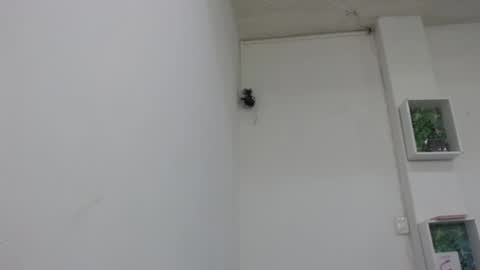 Snapshot of bella_lady_1_ chatting on February 9, 6:47 pm lady online show from February 9, 6:47 pm
