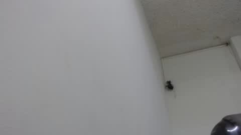 Snapshot of bella_lady_1_ chatting on February 13, 8:24 pm lady online show from February 13, 8:24 pm