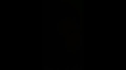 BellaLovesHerFellas online show from December 4, 7:52 am