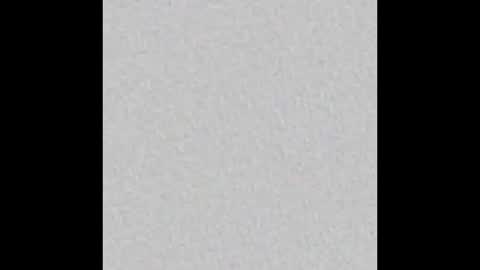 bellamwah online show from December 21, 7:48 am