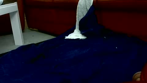 Benutzmich0800 online show from September 27, 7:17 am