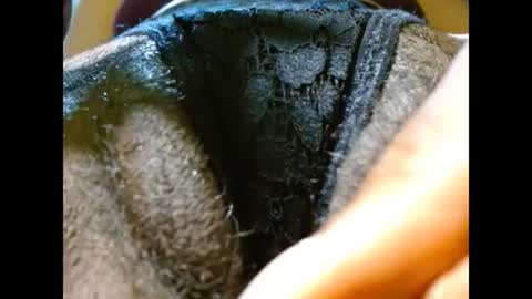 Bethany Wilson online show from February 21, 4:59 pm