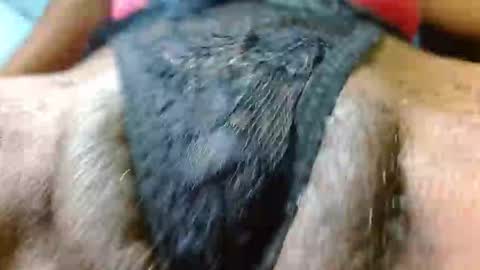 Bethany Wilson online show from January 28, 5:03 pm