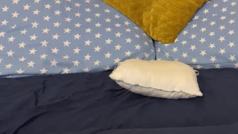 betzyboo online show from December 23, 8:42 am