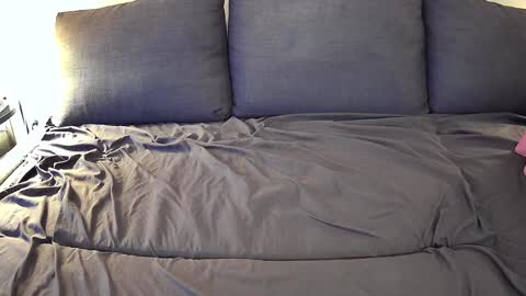 Brian Fox online show from February 23, 12:19 am