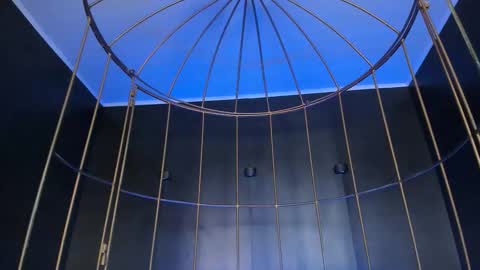   online show from October 12, 12:09 pm