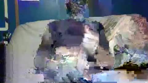 Snapshot of big9inchsnake chatting on December 9, 10:20 pm big9inchsnake online show from December 9, 10:20 pm