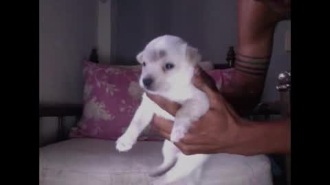 Emi online show from April 16, 12:38 pm