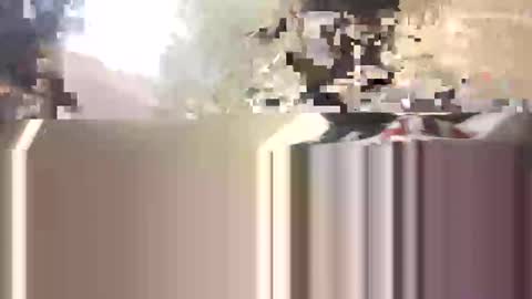 bigbossdawg44727909 online show from May 18, 3:49 am