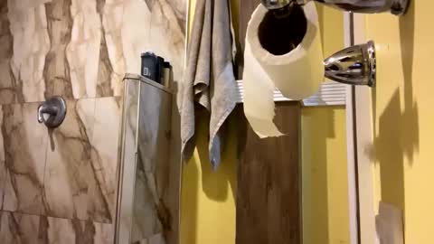 bigbtdny online show from October 23, 11:12 am