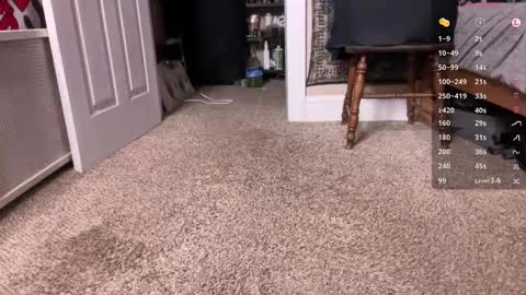 Jake p online show from October 28, 11:06 pm