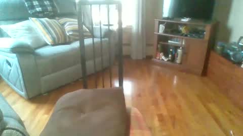 bigdeer58191747802843 online show from May 27, 1:26 pm
