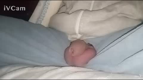 Big online show from February 2, 4:05 am