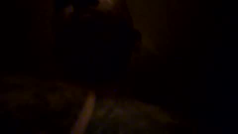bigdickboogietx online show from September 15, 10:39 am