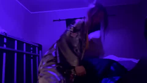 Snapshot of bigkitties69 chatting on January 23, 2:17 pm Bigkitties online show from January 23, 2:17 pm