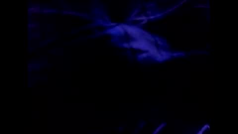 bigtgs online show from February 17, 6:50 pm