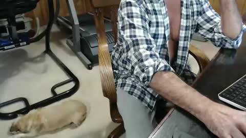 billy471 online show from November 22, 7:34 pm