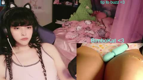 BimboCat online show from August 3, 11:44 pm