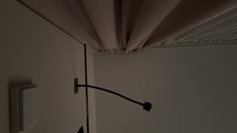 bithereum_sky online show from November 12, 8:55 pm