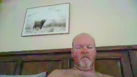 black_n_white4 online show from March 8, 4:38 am