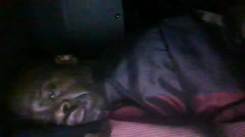 blackteddybear online show from February 16, 7:28 am