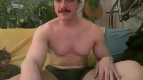 blamingos online show from March 8, 5:33 am