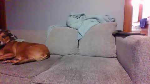 Snapshot of blaw_1321 chatting on March 5, 9:59 pm blaw_1321 online show from March 5, 9:59 pm