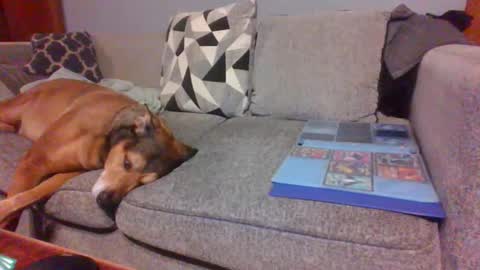 blaw_1321 online show from November 28, 9:16 am