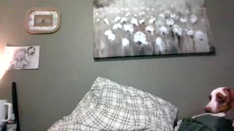 blazeentertainment2025 online show from October 20, 12:04 am