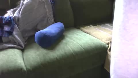 blomkuk online show from October 25, 11:53 am