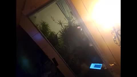 Snapshot of blondebellaaa3 chatting on December 10, 11:08 pm Gia online show from December 10, 11:08 pm