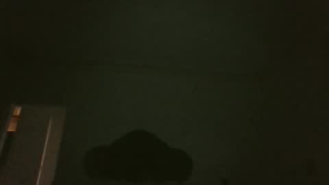 bluemoose70 online show from April 19, 2:56 am