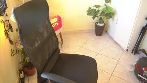 FLORAA online show from February 13, 10:34 am