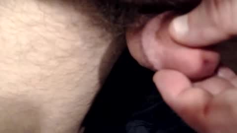 bobswan online show from March 1, 3:16 pm