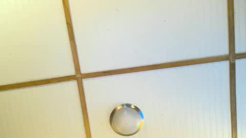 bodacioustits online show from November 2, 7:30 am