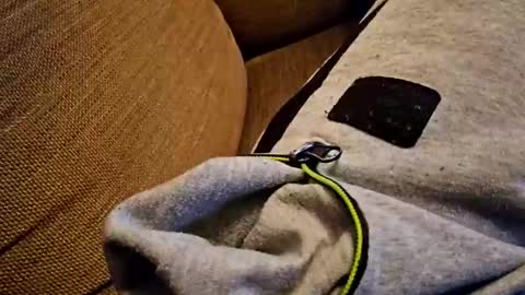 bonny8723 online show from October 18, 7:29 pm