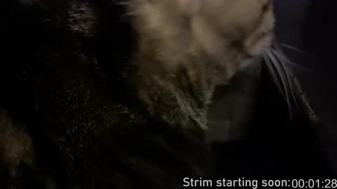 Snapshot of booker_baxton chatting on January 9, 4:08 am Booker Baxton online show from January 9, 4:08 am