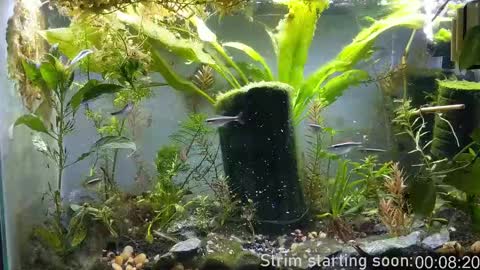 Booker Baxton online show from September 23, 3:00 am