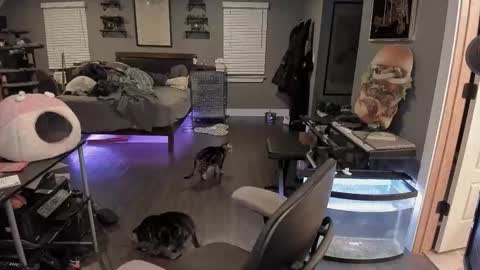 Booker Baxton online show from October 24, 3:29 am