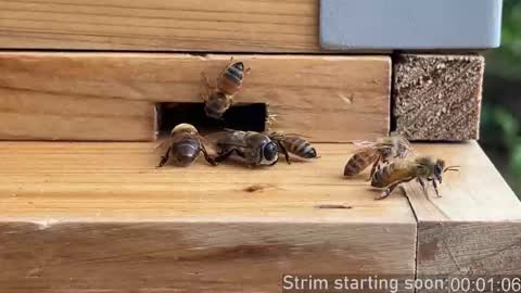 Booker Baxton online show from December 14, 4:08 am