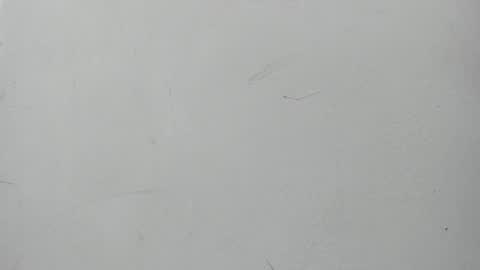 Snapshot of boomboomhoot chatting on January 11, 7:05 pm Maggie and Jay online show from January 11, 7:05 pm