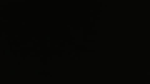 bossram160 online show from February 5, 10:08 am