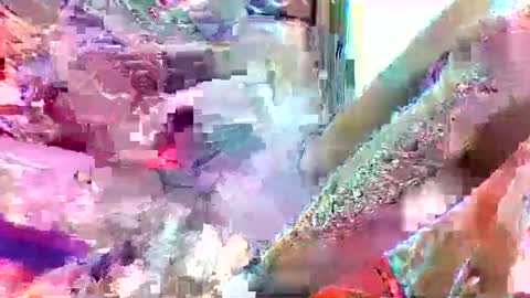 boyguylove online show from November 22, 2:32 am