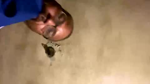 bpharrel34 online show from September 26, 4:53 am