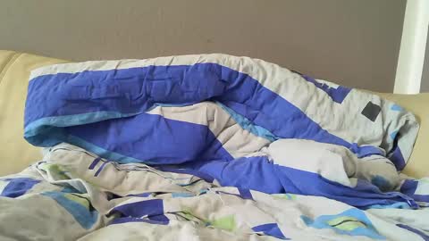 bramer8787 online show from February 1, 9:00 am